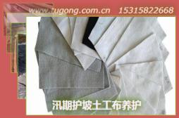 汛期護(hù)坡土工布養(yǎng)護(hù)