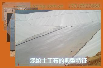滌綸土工布的典型特征